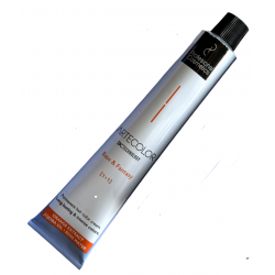TINTE ARTECOLOR 100 ML.